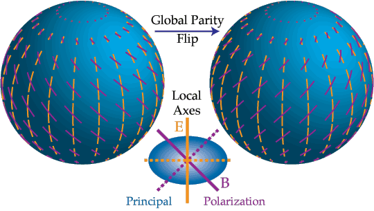 Polarization Primer