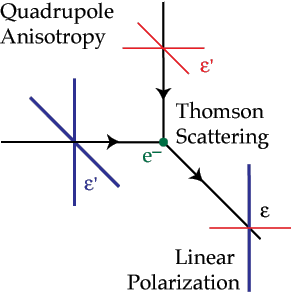 Polarization Primer